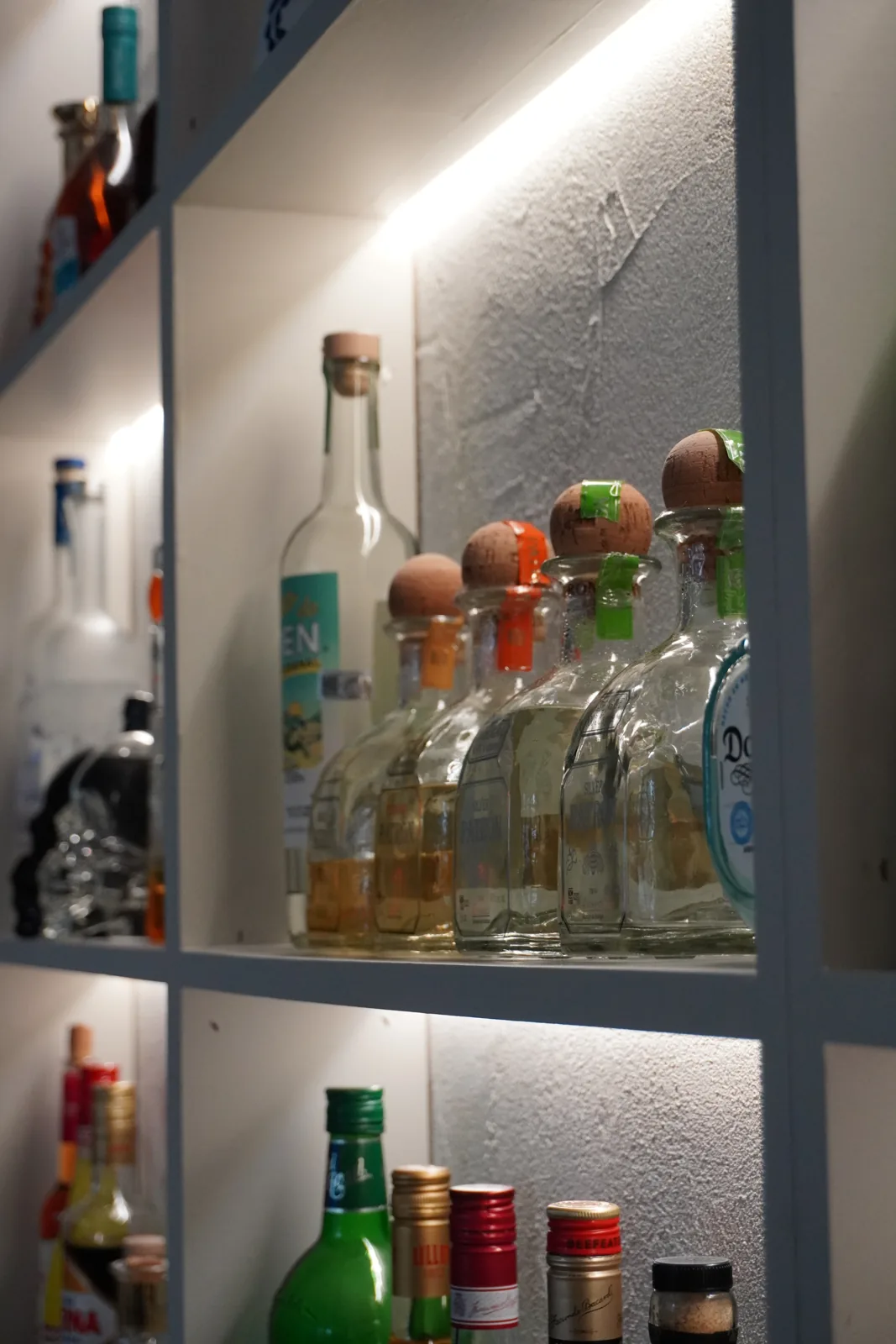 Le bar · agaves